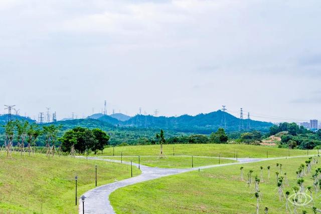 深圳旅游景点大全介绍，深圳的旅游景点有哪些地方（来深圳这10个地方玩吧）