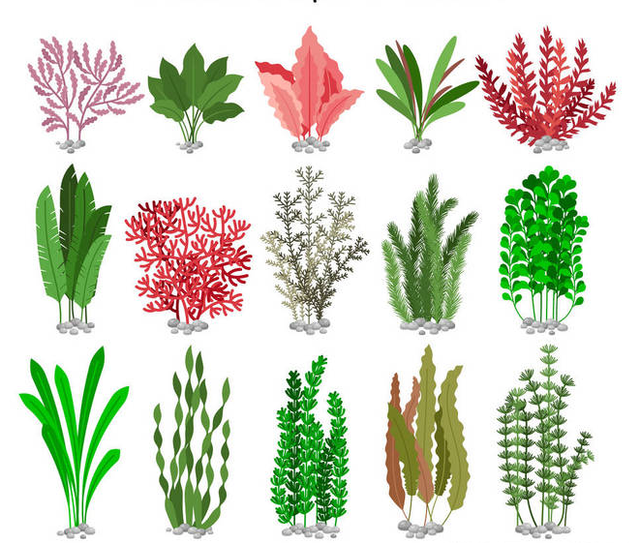 园林植物病虫害防治，园林植物病虫害综合防治方法（如何进行植物的病虫害防治）