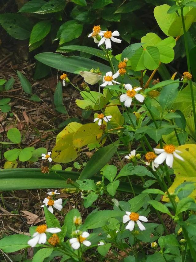 灵魂相似的人一旦相逢，灵魂相似的人一旦相逢是知心朋友（总有一天会在路上相逢）