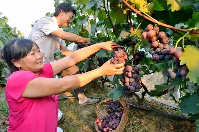 汉中旅游景点排名推荐，汉中旅游景点大全排名榜（在汉中一年四季可以这样玩 →）