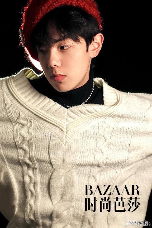 扑棱蛾子是什么梗，扑棱蛾子是什么梗贝斯（听说他换头是靠p的）