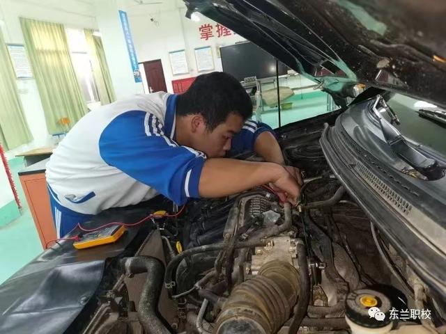 1+x职业技能等级证书，1+x证书是什么证书（<汽车运用与维修>职业技能等级证书考核）