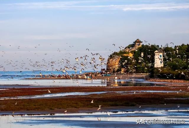 2023北戴河旅游攻略，2023北戴河旅游攻略最新（2023秦皇岛旅游攻略）