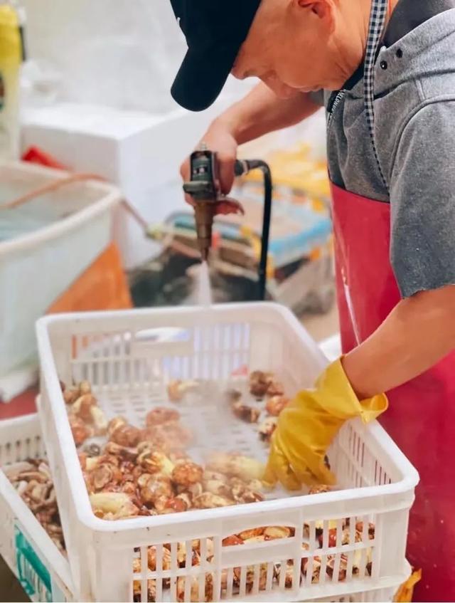 云南最好吃的野生菌在哪，中国最浪漫城市非她莫属