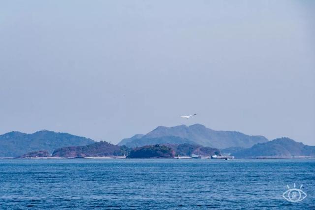 深圳旅游景点大全介绍，深圳的旅游景点有哪些地方（来深圳这10个地方玩吧）