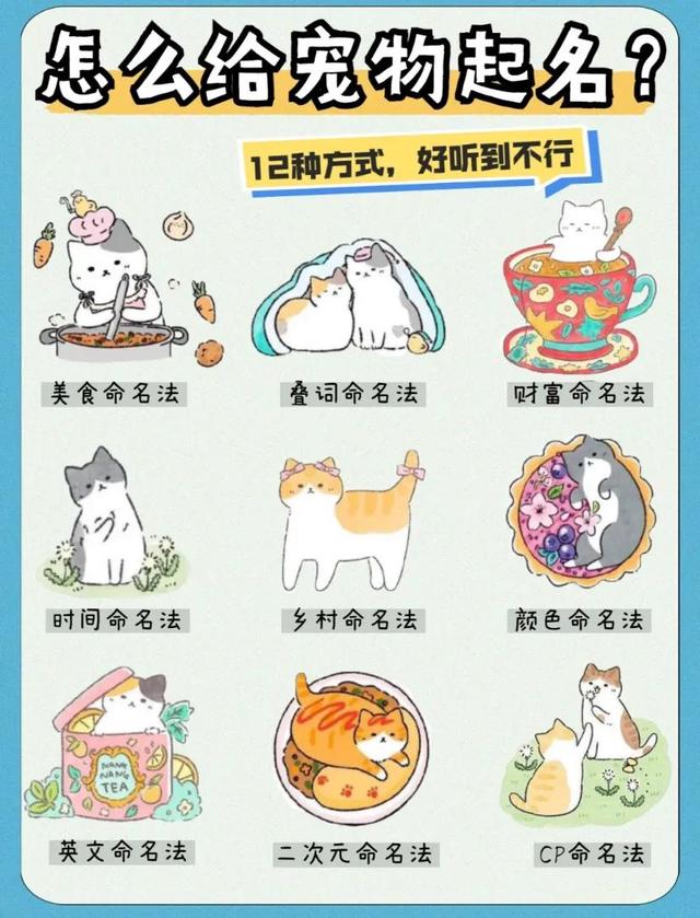怎样给宠物起好听的名字，怎样给宠物起好听的名字大全（12种方式好听到不行）
