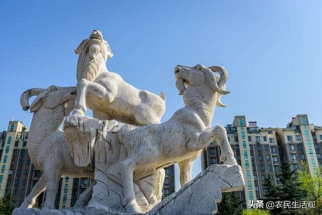 三阳开泰什么意思，三阳开泰是什么意思（农村俗语“三阳开泰”）