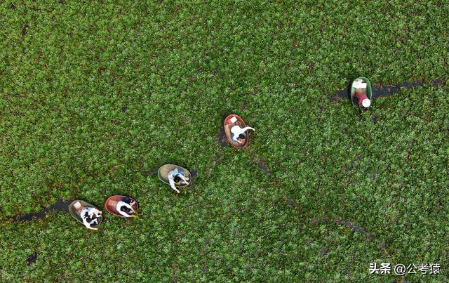 2022国家公务员考试条件要求，2022国家公务员考试条件（怎样成为一名公务员）