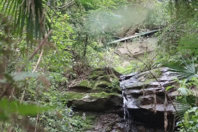 情人节日志大全，日记情人节祝福语大全[1]（2022年情人节的生活日记）