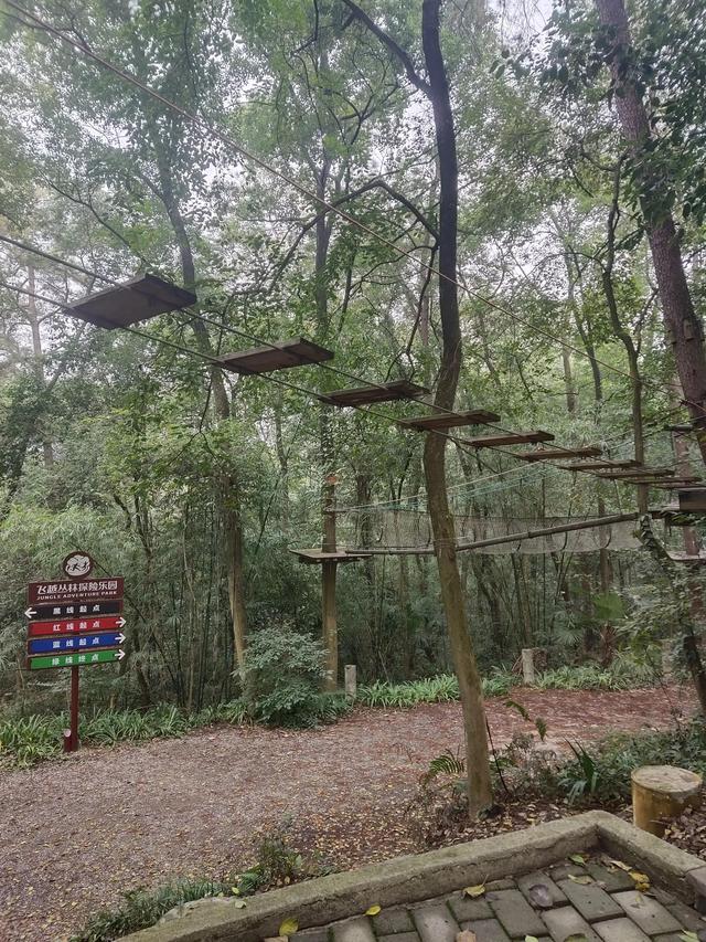 歌乐山森林公园，重庆旅游必去景点（歌乐山国家森林公园）