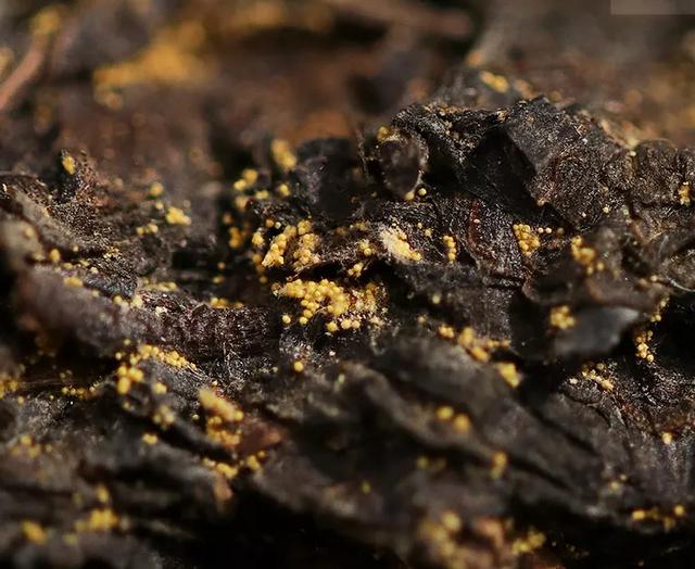 什么是茯茶 茶的品种，什么是茯茶（入选国家非遗的5种黑茶）