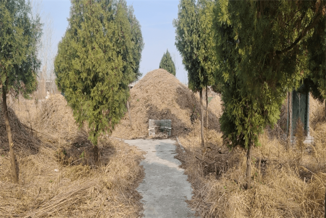 姓黑的都是什么族，姓黑是什么民族（他的后代留下来了这4个姓氏）