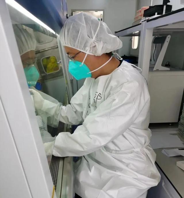 薛小冉的出生地，薛小苒的古代搭伙之旅（抗疫党旗分外红——锡盟中心医院奋战在抗疫一线的党员故事）