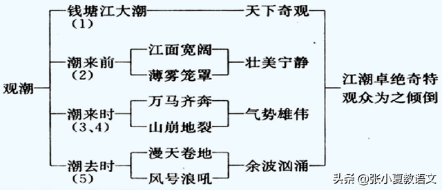 潮如何组词，潮组词（潮如何组词（人教部编版四年级语文上册《观潮》知识点易考点一线名师梳理）