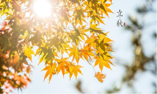 吃桃子是什么意思，男生说吃桃子什么梗（建议牢记“1贴2啃3喝”）