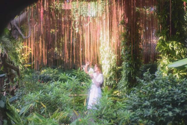 春天奋斗的诗句，春天奋斗的诗句有哪些（6首写于逆境中的诗词）