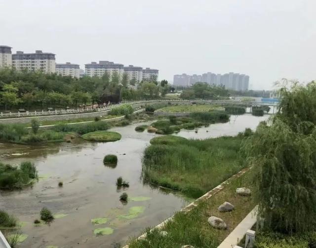 新郑机场属于哪个区，郑州市新郑国际机场属于哪个区（郑州航空港区有个问题没有解决好）
