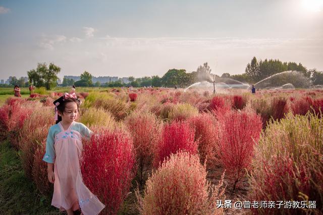 西安汉城湖公园，西安汉城湖景区景点介绍（2023西安旅游值得去的30个景区大全）