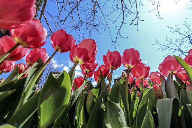 中国宣布疫情结束日期了吗，中国宣布疫情结束日期了吗今天（疫情全面结束的4个条件越来越近）