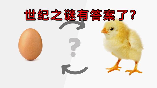 先有鸡还是先有蛋标准答案，先有鸡还是先有蛋正确答案（6.1亿年前化石给出答案）