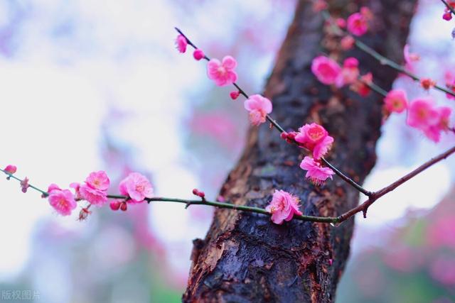简约风背景图片 观念不同 经历不同  想法不同 眼光不同  不必理解