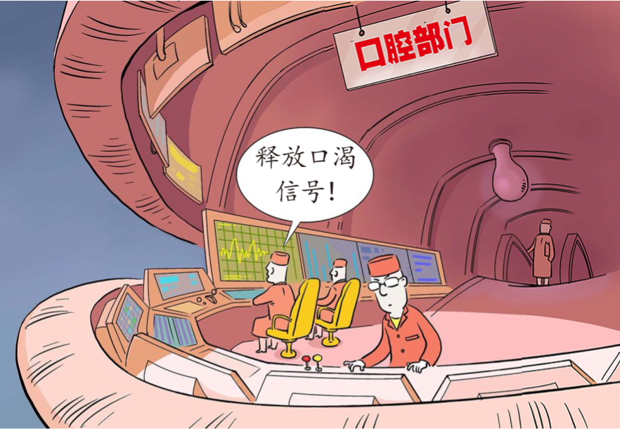 人体含水量百分比最高的器官是，人体含水量百分比最高的器官是什么（缺水时，身体各器官发生了什么）