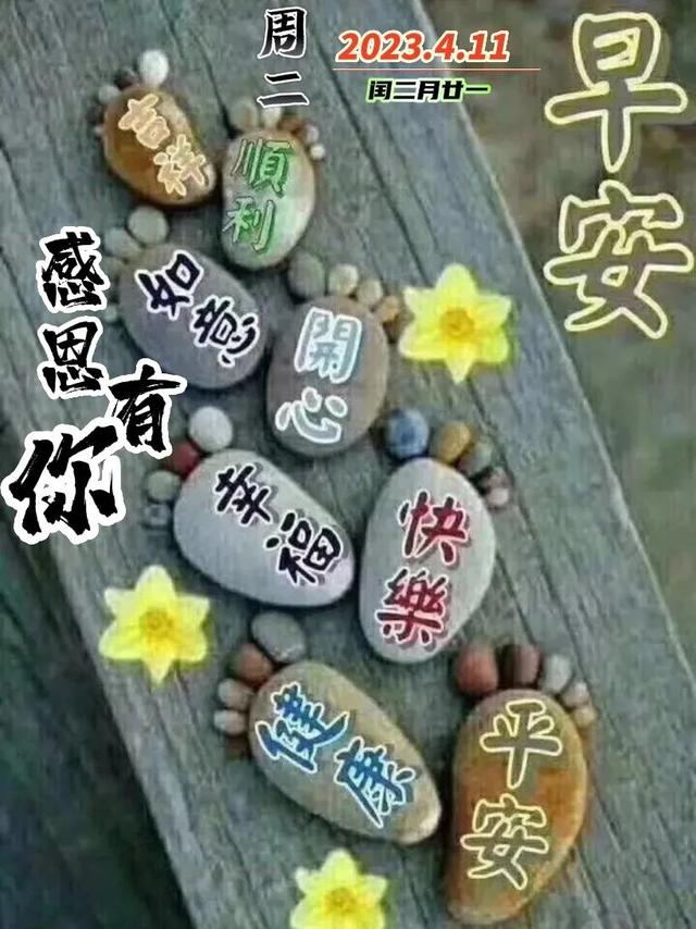 我今天为你祝福，我今天为你祝福歌词（感恩有你早晨问候祝福语）
