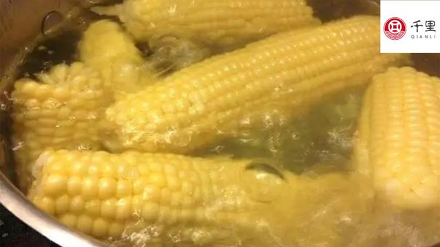 玉米水的功效与作用，新鲜玉米水的功效与作用（煮玉米的水是个宝）