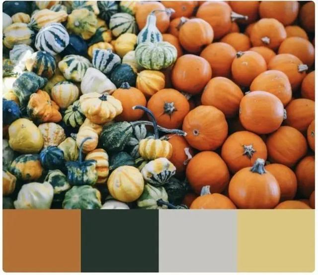 什么的季节填合适的词，什么的季节填上合适的词语（温暖、明亮又时髦）