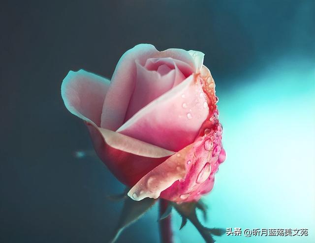 心疼关心一个人的句子，体谅和心疼对方的句子（秋凉了，写给最牵挂的你）