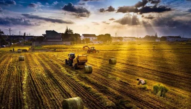 太仓是哪个省的城市，太仓在哪里属于哪个省（低调内敛的小城——江南的另一张面孔）