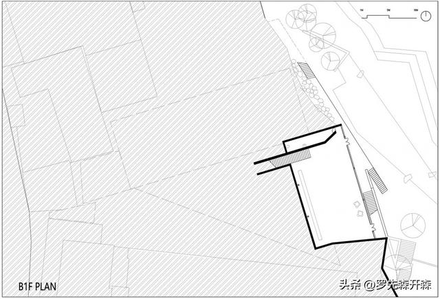 生长于什么地方，楮头红介绍（河南——生长于山水乡镇之间）