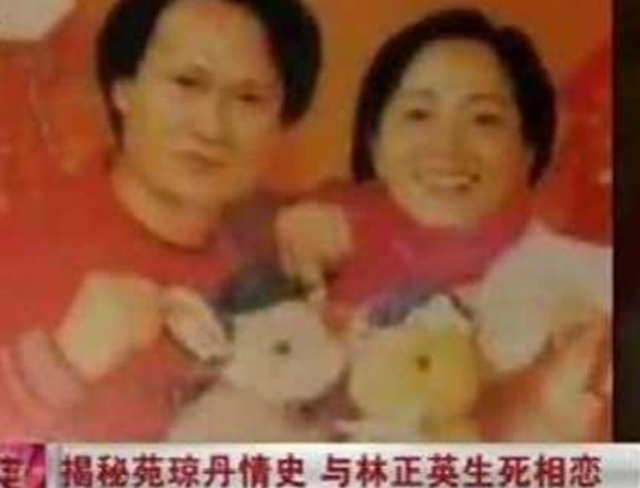 苑琼丹子，苑琼丹:世人只知我是“石榴姐”（男友林正英患癌去世）