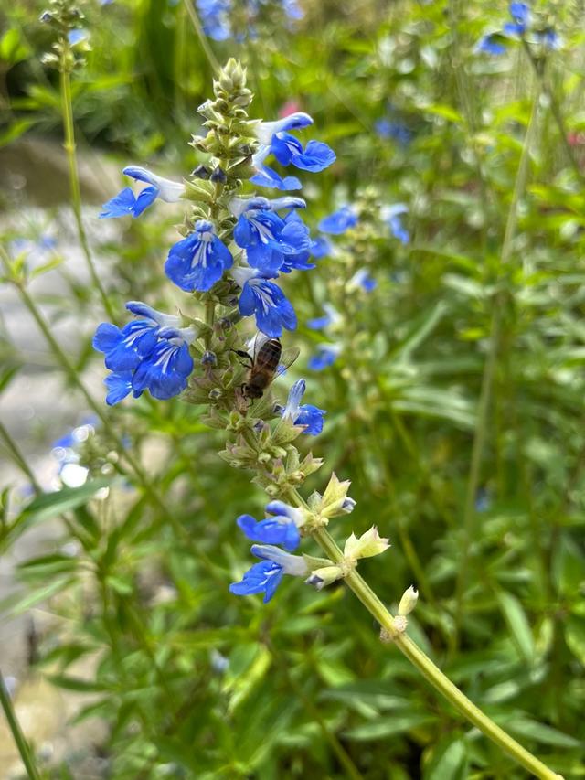 心情开心的句子，写心情的句子经典心情说说（累了就睡觉）