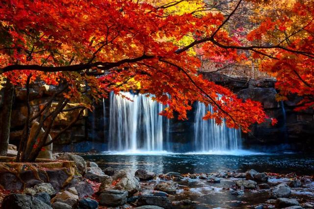 本溪特色美食有哪些，本溪特色美食有哪些小吃（国内唯一媲美北疆的地方）