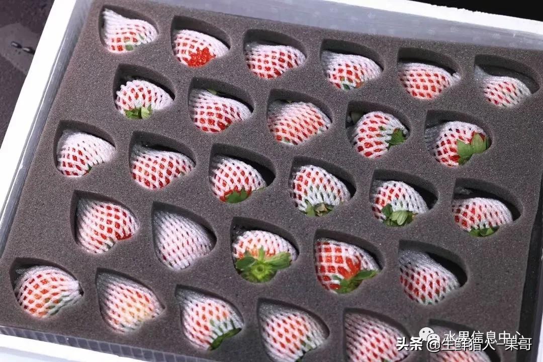 浆果是什么，浆果是什么软件（不同水果的不同包装<浆果篇>）