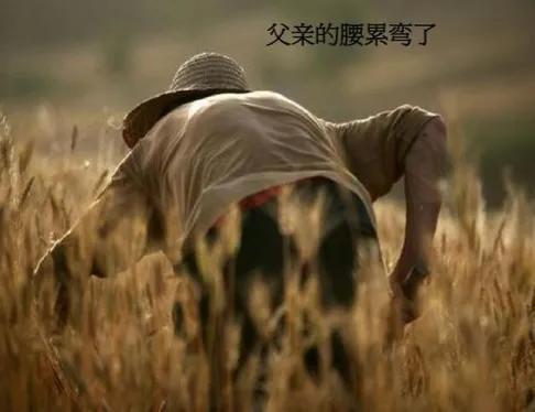 bdm是什么职位的简称，公司bdm是什么职位（找工作如何避坑）