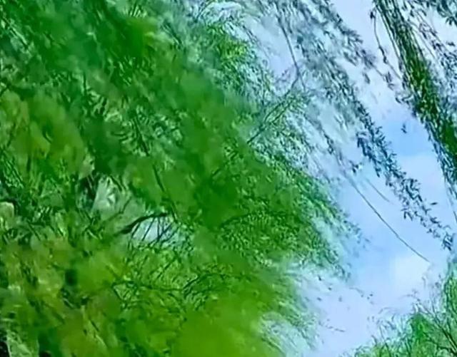 季节变化方法，为适应每一个季节气候的变化