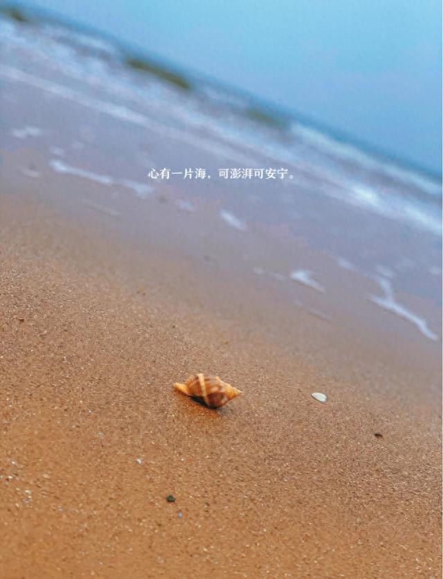 西中岛海边的生日趴