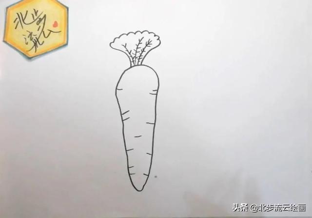 胡萝卜的简笔画，胡萝卜简笔画怎么画（胡萝卜简单的绘画步骤）