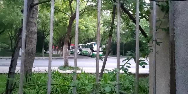 山东农业大学在哪，山东农业大学有哪些专业（被青岛很多家长们低估的省内名校——泰安的山东农业大学）