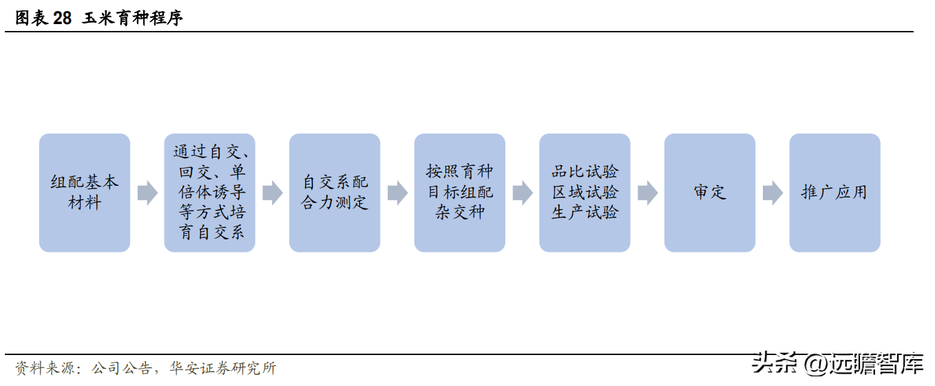 登海先锋种业（玉米种子领军企业）