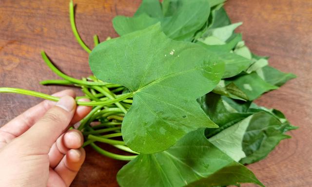 红薯杆子的功效与作用，红薯全身是宝