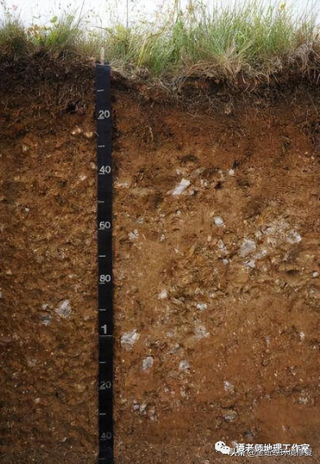 土地性质分类和用途，怎么查个人土地信息（附中国土壤的分类及分布）