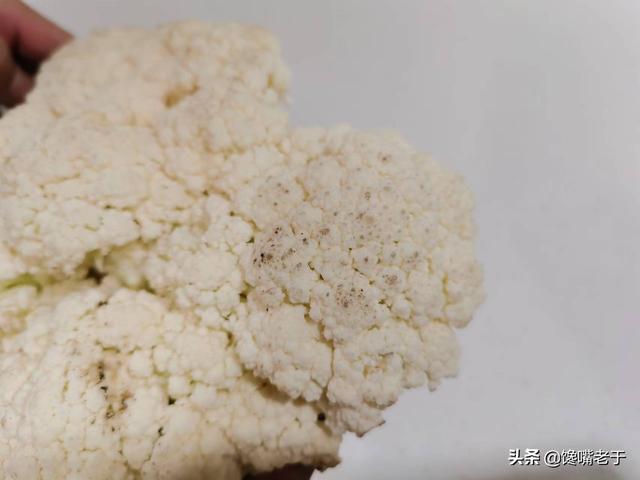 菜花是什么菜，菜花是什么菜图片（看完赶紧收藏告诉家人）