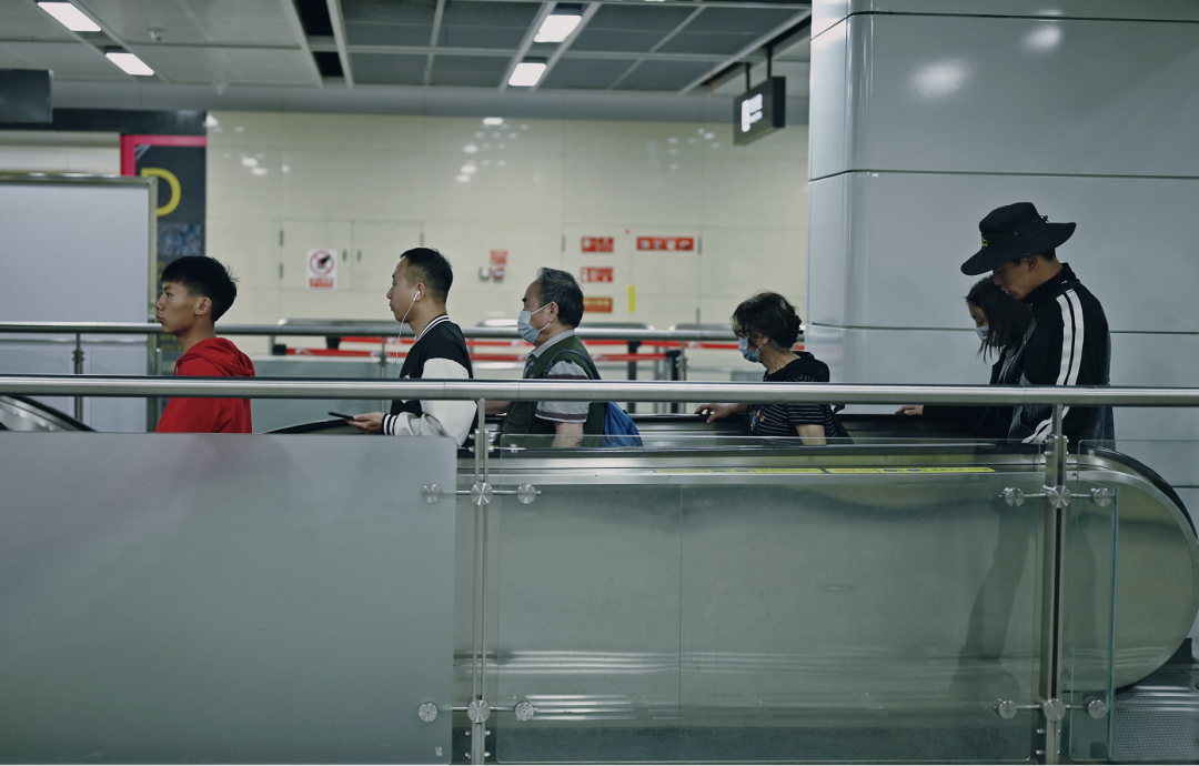 馬門溪龍完整化石,這座“博物館”就在成都地鐵 馬門溪龍完整化石,這座“博物館”就在成都地鐵
