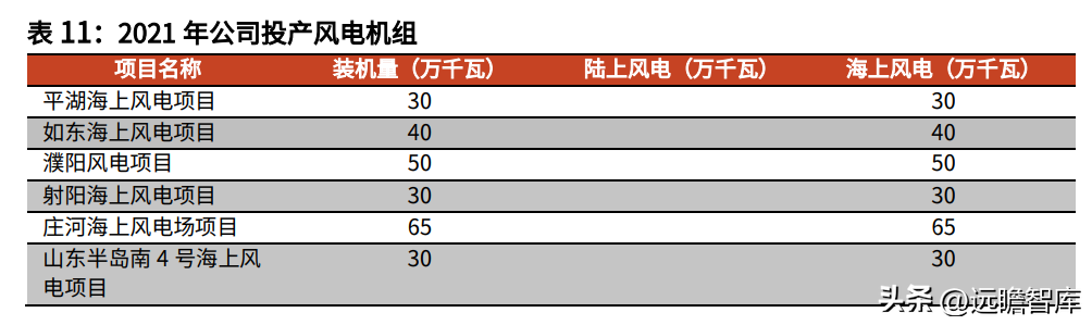 华能电力（背靠华能集团）