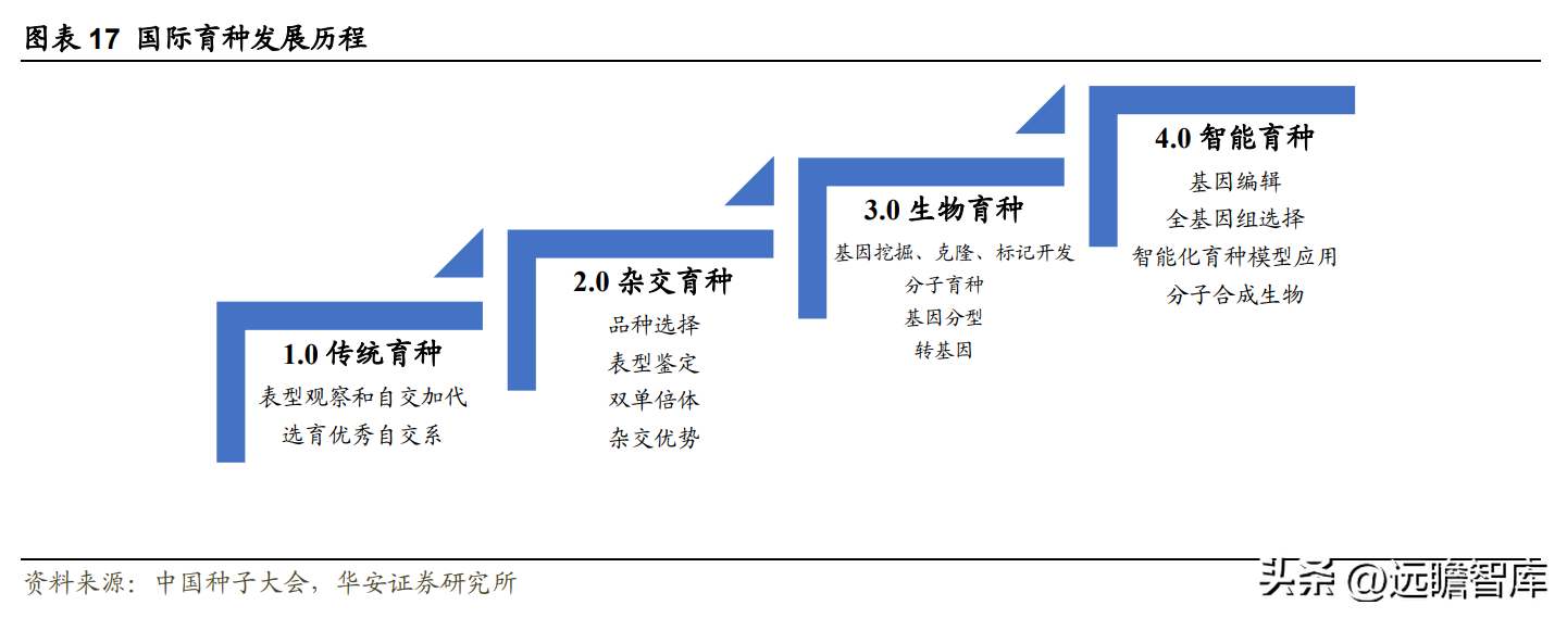 登海先锋种业（玉米种子领军企业）