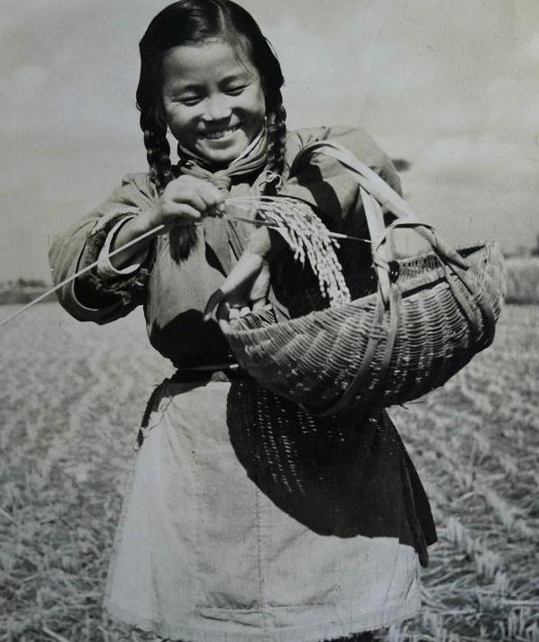 秉怎么读，秉怎么读组词（《说文解字》551课）