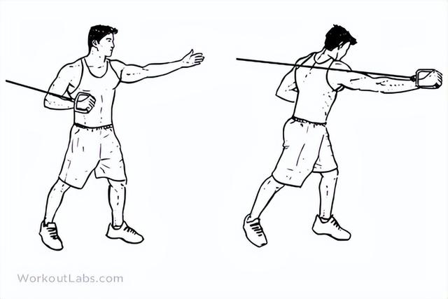 前锯肌锻炼方法，圆肩前锯肌锻炼方法（为什么训练前锯肌很重要）